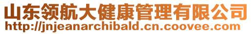 山東領航大健康管理有限公司