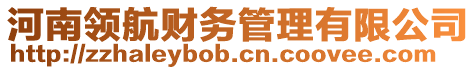 河南領航財務管理有限公司