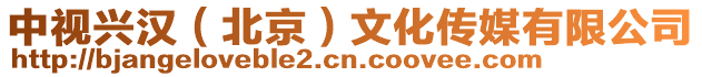 中視興漢（北京）文化傳媒有限公司