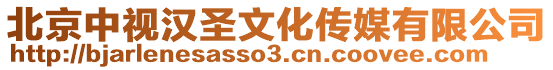 北京中視漢圣文化傳媒有限公司