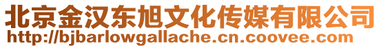 北京金漢東旭文化傳媒有限公司