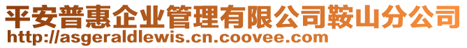 平安普惠企業(yè)管理有限公司鞍山分公司