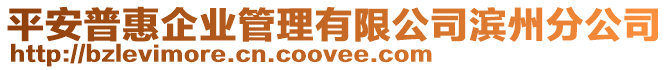 平安普惠企業(yè)管理有限公司濱州分公司