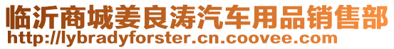 臨沂商城姜良濤汽車用品銷售部