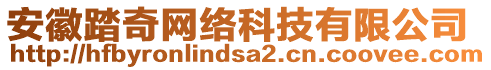 安徽踏奇網(wǎng)絡科技有限公司