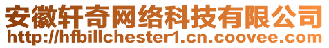 安徽軒奇網(wǎng)絡(luò)科技有限公司