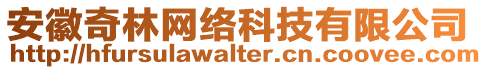 安徽奇林網(wǎng)絡(luò)科技有限公司