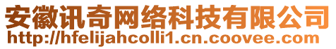 安徽訊奇網(wǎng)絡(luò)科技有限公司