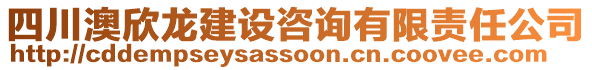 四川澳欣龍建設(shè)咨詢有限責(zé)任公司