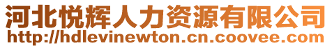 河北悅輝人力資源有限公司