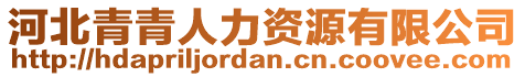 河北青青人力資源有限公司