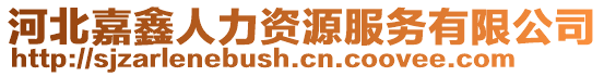 河北嘉鑫人力資源服務(wù)有限公司