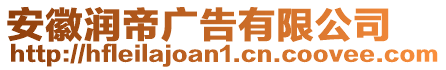 安徽潤帝廣告有限公司