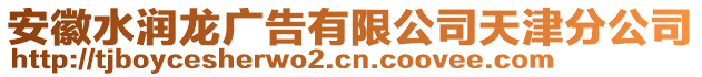 安徽水潤(rùn)龍廣告有限公司天津分公司