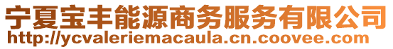 寧夏寶豐能源商務(wù)服務(wù)有限公司