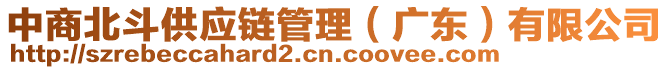 中商北斗供應(yīng)鏈管理（廣東）有限公司