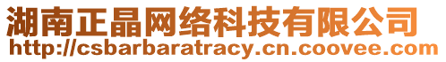 湖南正晶網(wǎng)絡(luò)科技有限公司