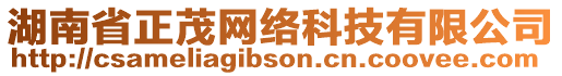 湖南省正茂網(wǎng)絡(luò)科技有限公司