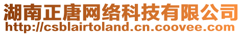 湖南正唐網(wǎng)絡(luò)科技有限公司