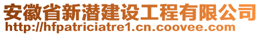 安徽省新潛建設(shè)工程有限公司