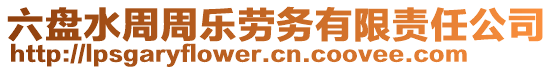 六盤水周周樂勞務有限責任公司