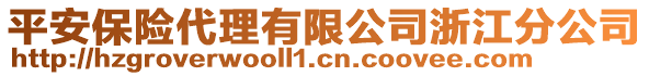 平安保險代理有限公司浙江分公司
