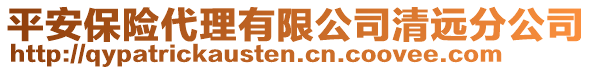 平安保險代理有限公司清遠分公司