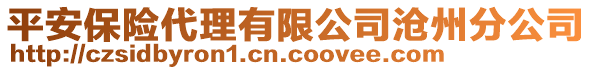平安保險(xiǎn)代理有限公司滄州分公司