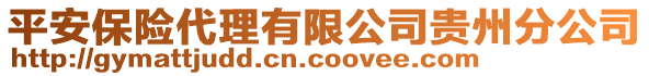 平安保險代理有限公司貴州分公司