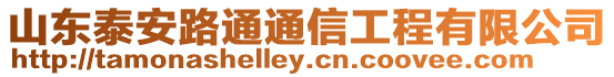 山東泰安路通通信工程有限公司