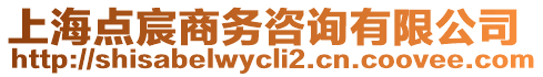 上海點(diǎn)宸商務(wù)咨詢(xún)有限公司