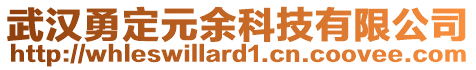 武漢勇定元余科技有限公司