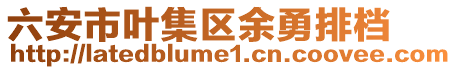 六安市葉集區(qū)余勇排檔