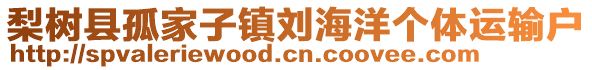 梨樹縣孤家子鎮(zhèn)劉海洋個(gè)體運(yùn)輸戶