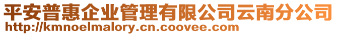 平安普惠企業(yè)管理有限公司云南分公司