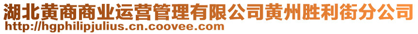 湖北黃商商業(yè)運營管理有限公司黃州勝利街分公司