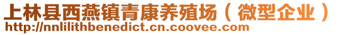 上林縣西燕鎮(zhèn)青康養(yǎng)殖場（微型企業(yè)）