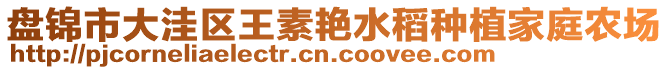 盤(pán)錦市大洼區(qū)王素艷水稻種植家庭農(nóng)場(chǎng)