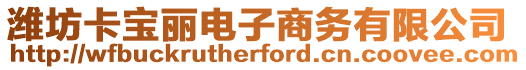 濰坊卡寶麗電子商務(wù)有限公司