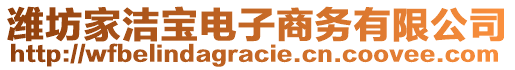 濰坊家潔寶電子商務(wù)有限公司