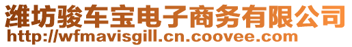 濰坊駿車寶電子商務(wù)有限公司