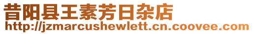 昔陽縣王素芳日雜店