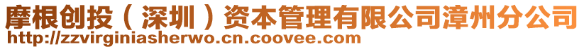 摩根創投(深圳)資本管理有限公司漳州分公司