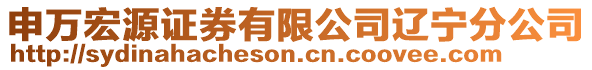 申萬宏源證券有限公司遼寧分公司