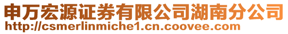 申萬宏源證券有限公司湖南分公司