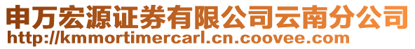 申萬宏源證券有限公司云南分公司