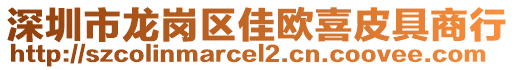 深圳市龍崗區(qū)佳歐喜皮具商行