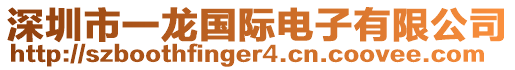 深圳市一龍國(guó)際電子有限公司