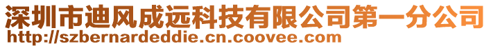 深圳市迪風成遠科技有限公司第一分公司