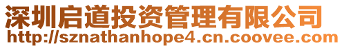 深圳啟道投資管理有限公司